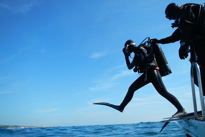 Discover Scuba Diving Private Fun Activity in Athens - Who will enjoy this Athens activity most