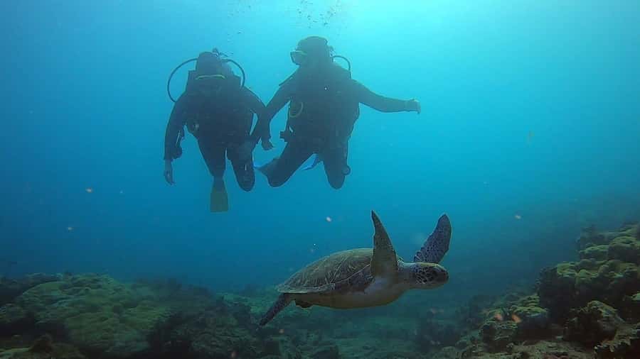 Discover Scuba Diving Program for Beginners - Shallow water practice before open water