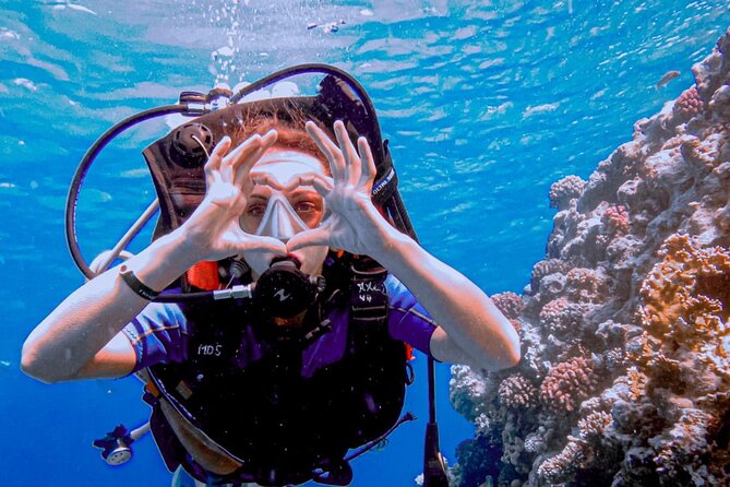 Discover Scuba Diving Sharm El Sheikh - The open-water session among Red Sea coral