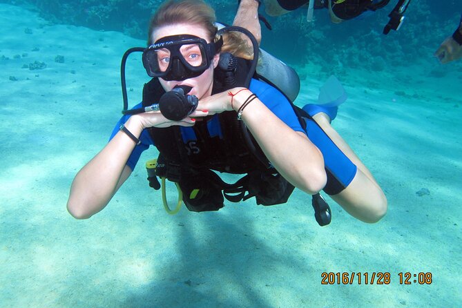 Discover Scuba Diving Sharm El Sheikh - Shore trip or boat trip: which suits you better?