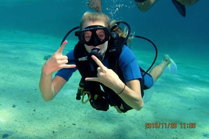 Discover Scuba Diving Sharm El Sheikh - Is $80 good value?