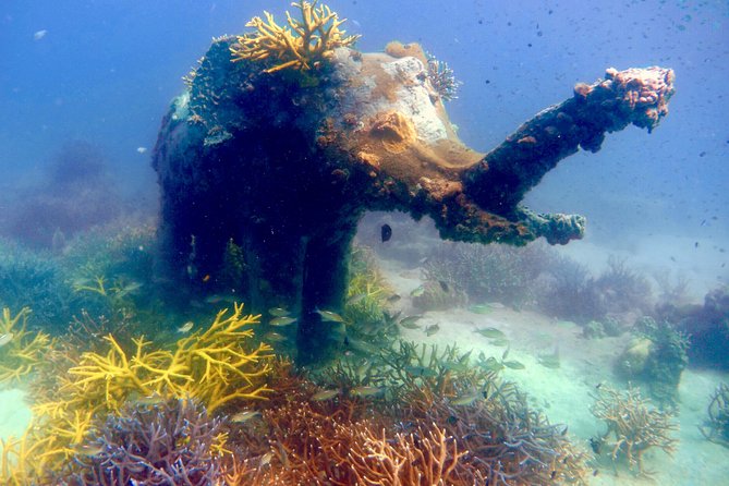 Discover Scuba Diving, try dive for beginners ( Start at Ko Kut) - Bang Bao Beach and the two reef descents