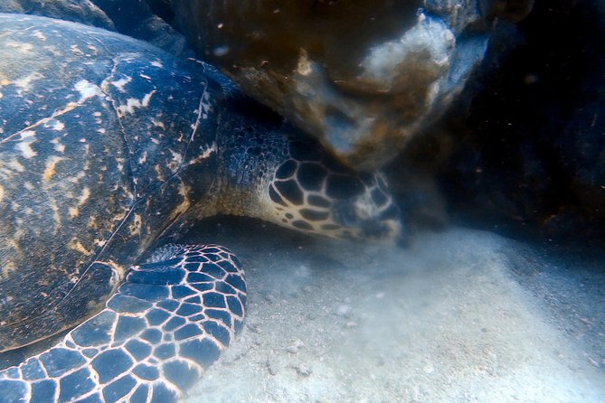 Discover Scuba Diving, try dive for beginners ( Start at Ko Kut) - Lunch and the practical rhythm of the day
