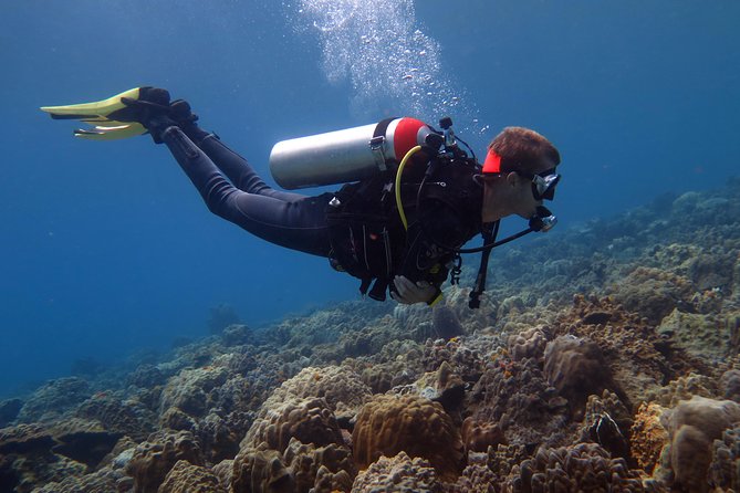 Discover Scuba diving, try diving for beginners (starts from Koh Chang) - Key points before you book