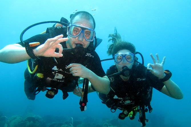 Discover Scuba diving, try diving for beginners (starts from Koh Chang) - Lunch, equipment, and the real value of the $179.28 price