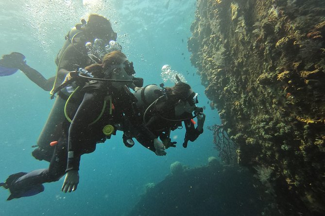 Discover Scuba Diving Tulamben Bali For Non-Certified Divers - Who will get the most from this day