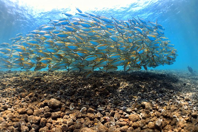 Discover Scuba Diving Tulamben Bali For Non-Certified Divers - Pool practice before the open water