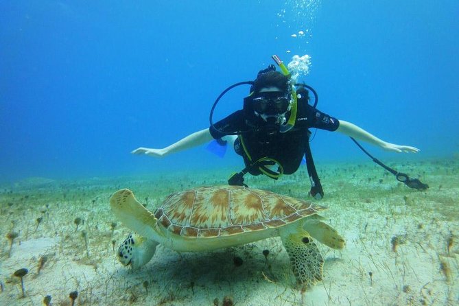 Discover Scuba Diving with No Certification in St Thomas - At Saga Haven Marina, the lesson begins on land