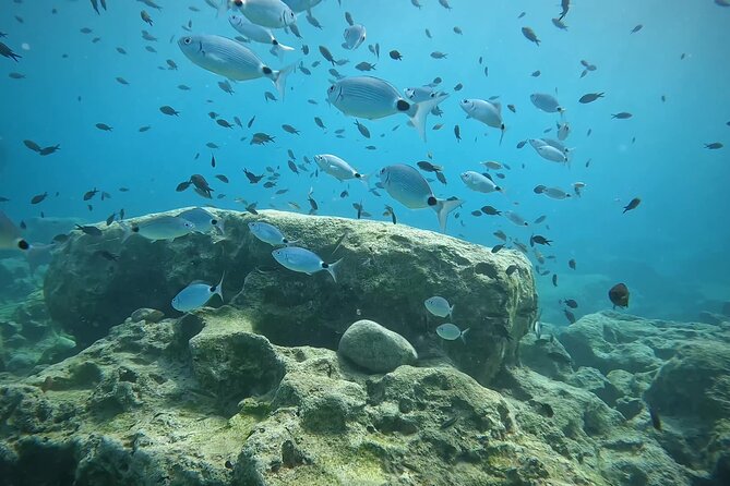Discover SCUBA Diving with Pissouri Bay Divers - What the instructors do well