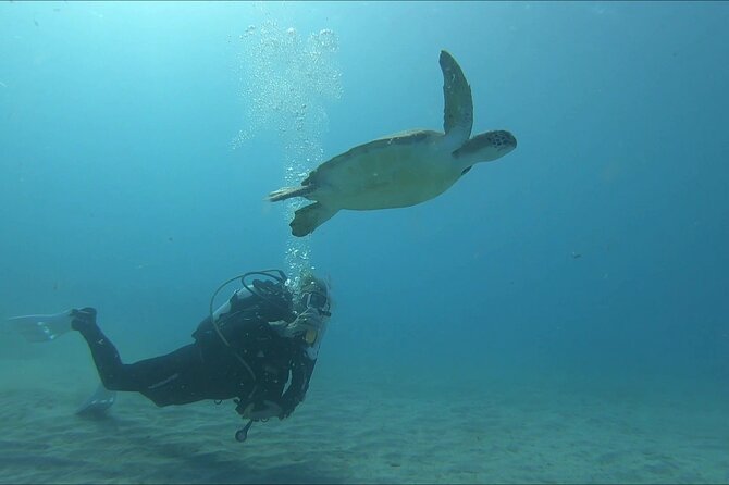 Discover SCUBA Diving with Pissouri Bay Divers - Weather, cancellation, and practical planning