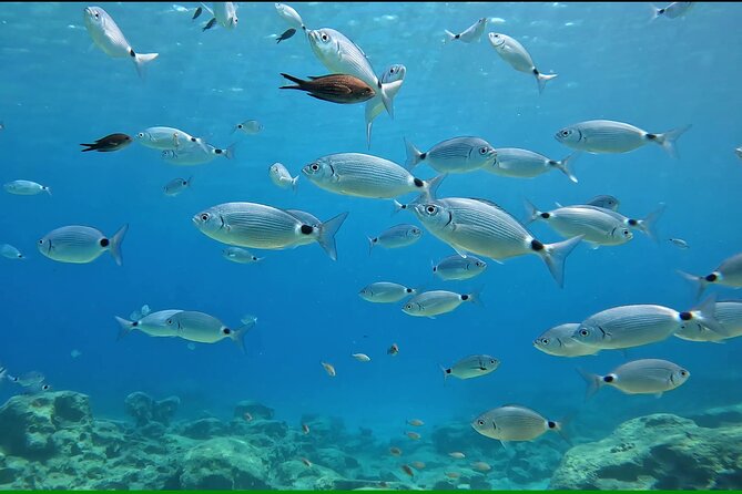 Discover SCUBA Diving with Pissouri Bay Divers - The trip to the water and shallow practice