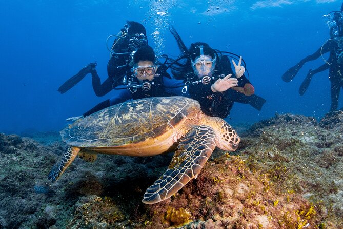 Discover Scuba Diving With Sea Turtles – Xiaoliuqiu, Taiwan - The reef life beyond the turtles