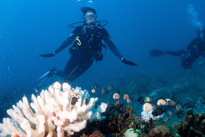 Discover Scuba Diving With Sea Turtles – Xiaoliuqiu, Taiwan - Underwater photographs and imperfect visibility