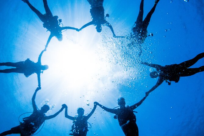 Discover Scuba Diving With Sea Turtles – Xiaoliuqiu, Taiwan - Is $83 a fair price?