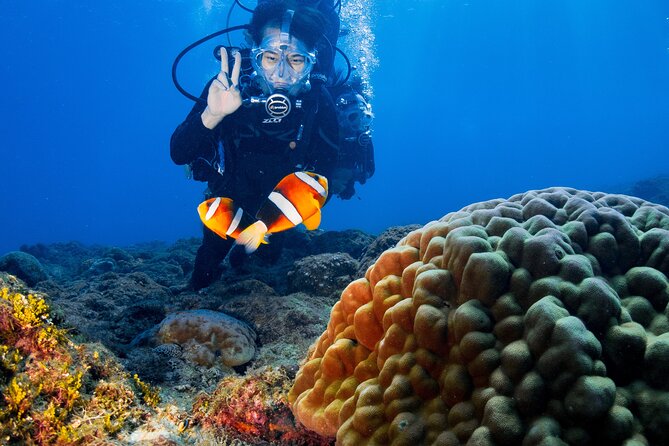 Discover Scuba Diving With Sea Turtles – Xiaoliuqiu, Taiwan - Learning basic scuba skills without certification