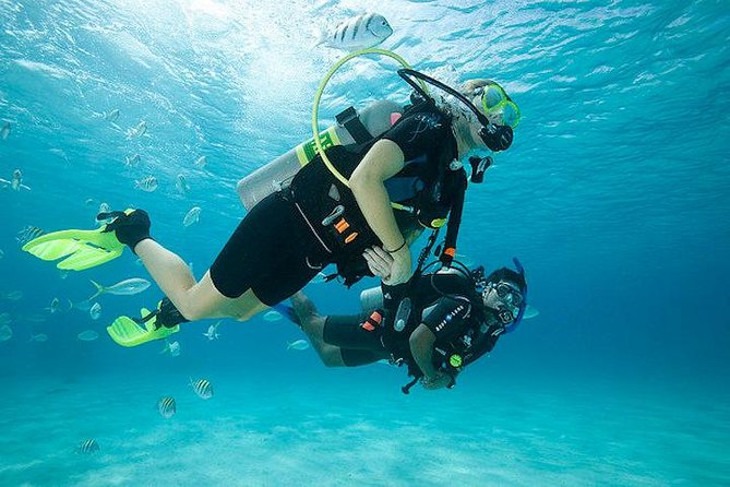 Discover Scuba Diving with two dives in the Ocean in Tenerife with Transfers - Key points at a glance