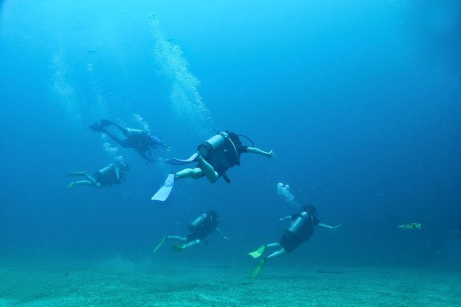 Discover Scuba experience at Las Caletas, Puerto Vallarta - What the underwater session feels like