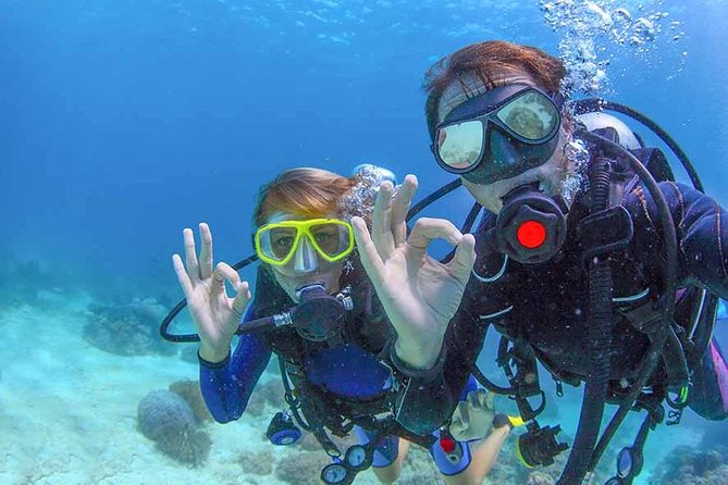 Discover Scuba experience at Las Caletas, Puerto Vallarta - Equipment and comfort for beginners