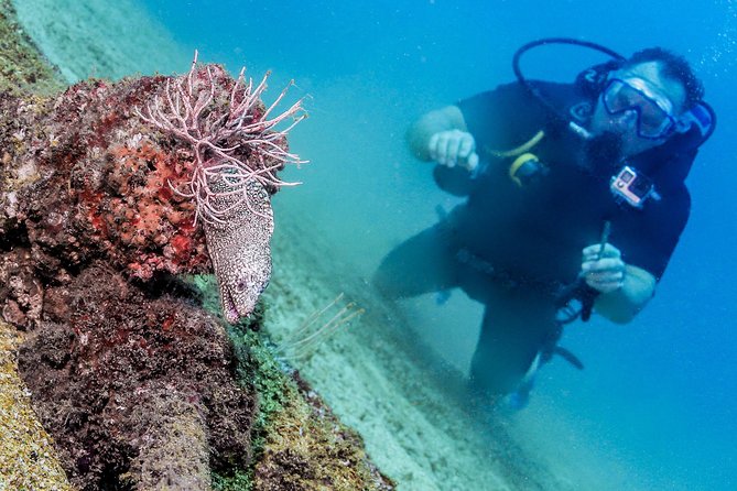 Discover Scuba experience at Las Caletas, Puerto Vallarta - Starting at Puerto Mágico at 8:00 am