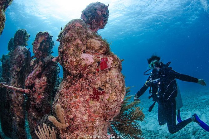 Discover scuba ,MUSA and Manchones reef dive without license - Two tank sessions, equipment, and personal attention