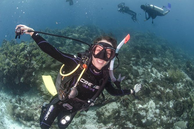 Discover scuba ,MUSA and Manchones reef dive without license - The 8:00 a.m. start at Plaza Isla Mujeres