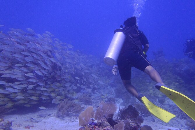 Discover Scuba - Learning the basics in shallow water