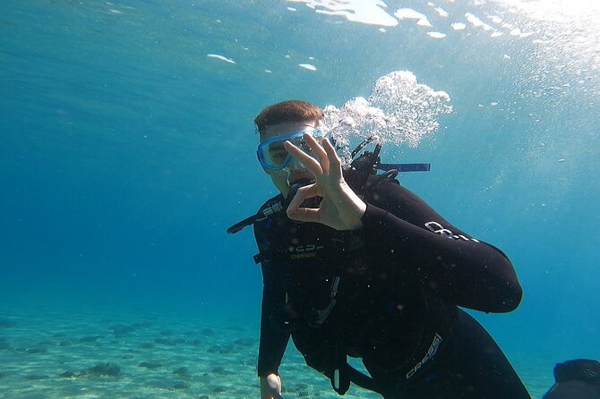 Discover Small Group Scuba Diving Experience in Nea Makri, Athens - Shallow-water practice before Schinias Beach