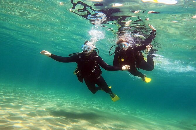 Discover Small Group Scuba Diving Experience in Nea Makri, Athens - What you see at 5 to 6 meters