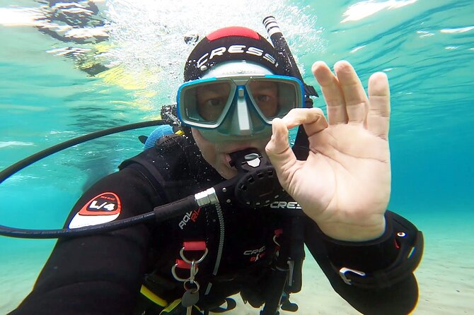 Discover Small Group Scuba Diving Experience in Nea Makri, Athens - Dimitris, Maria, and the value of close supervision