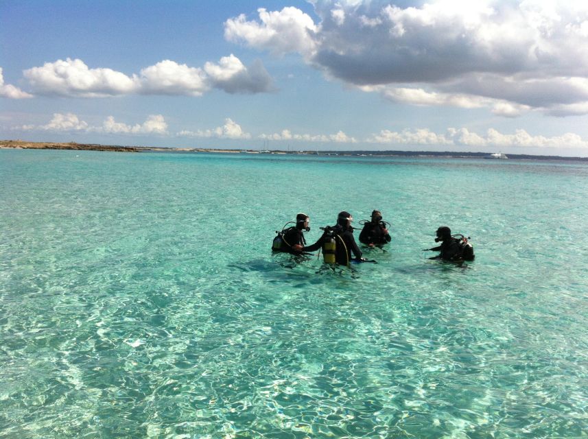 DISCOVER THE UNDERWATER WORLD, Scuba Diving Experience - A calm introduction, not a certification course