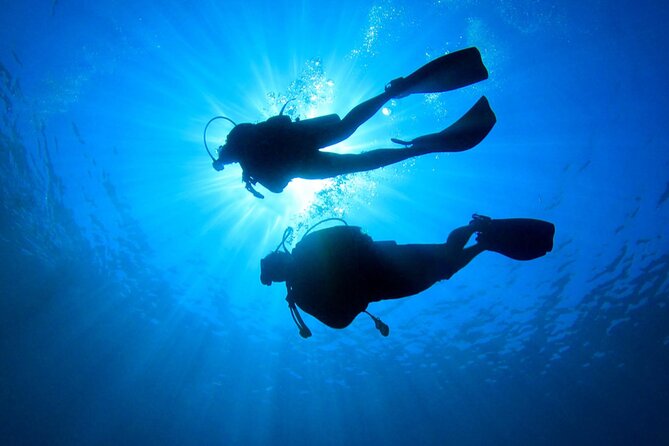 Discovery Scuba Dive. - Why the shore practice is worth your time