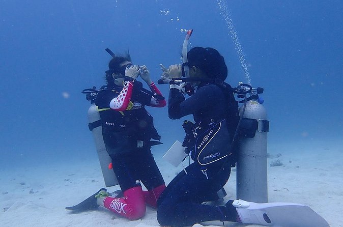 Discovery Scuba Dive. - The instructors make the biggest difference
