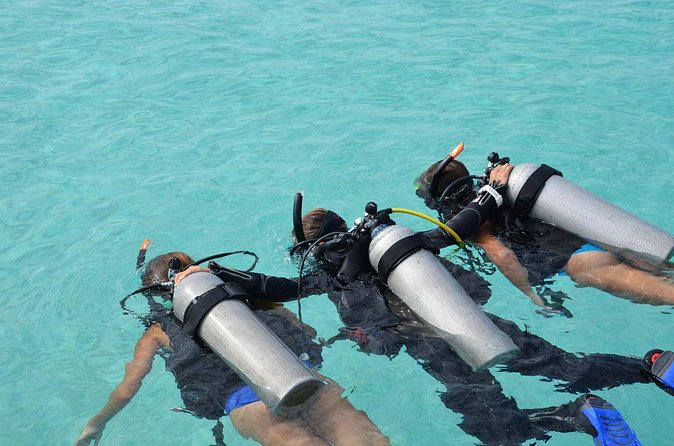 Discovery Scuba Dive. - Is $100 a good value?