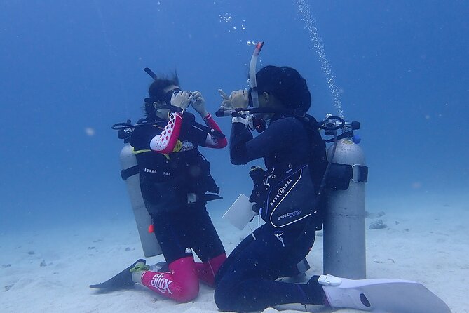 Discovery Scuba Dive. - Booking and cancellation details