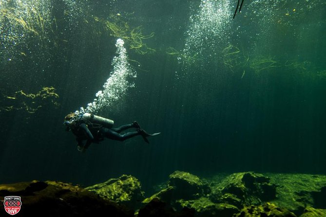 Discovery Scuba Diving !! - The first stage: learning in the pool