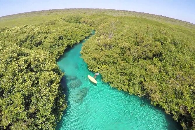 Discovery Scuba Diving !! - Timing, meeting points, and the Puerto Morelos setting
