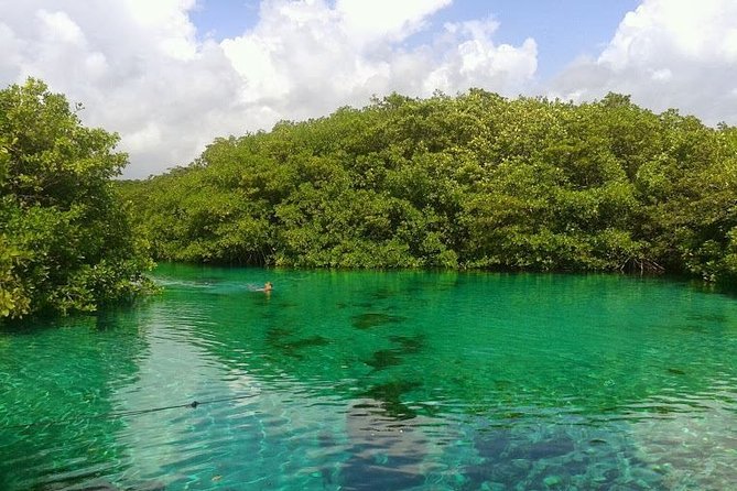 Discovery Scuba Diving - What you may see and how the pace works