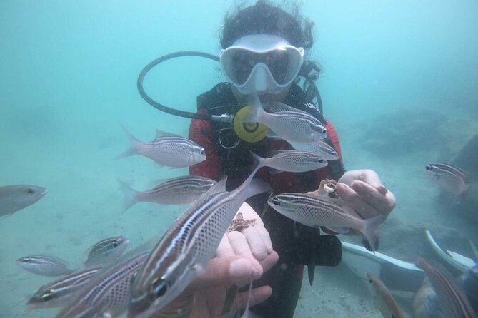 Discovery Scuba Diving in Dubai - Photos, videos, and a certificate to take home