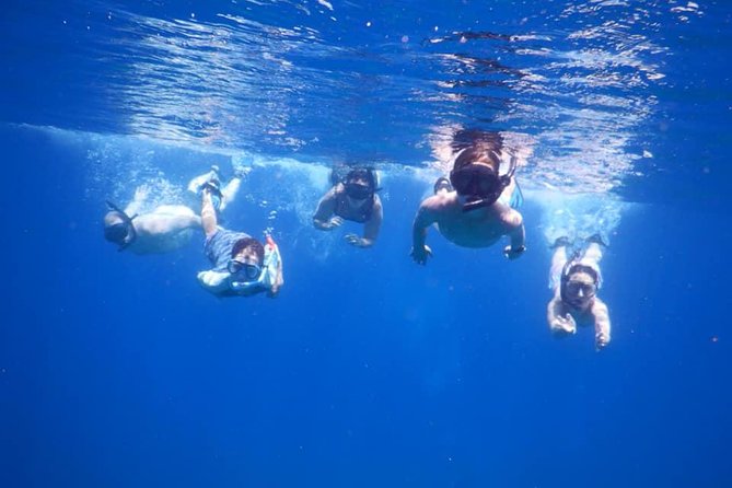 Discovery Scuba Diving & Snorkeling at Nha Trang Bay - Starting early in Nha Trang Bay