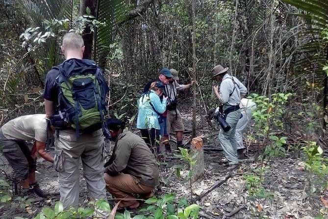 Dive deep into the wild wonders of Sundarban. - Kochikali with a forest department guard