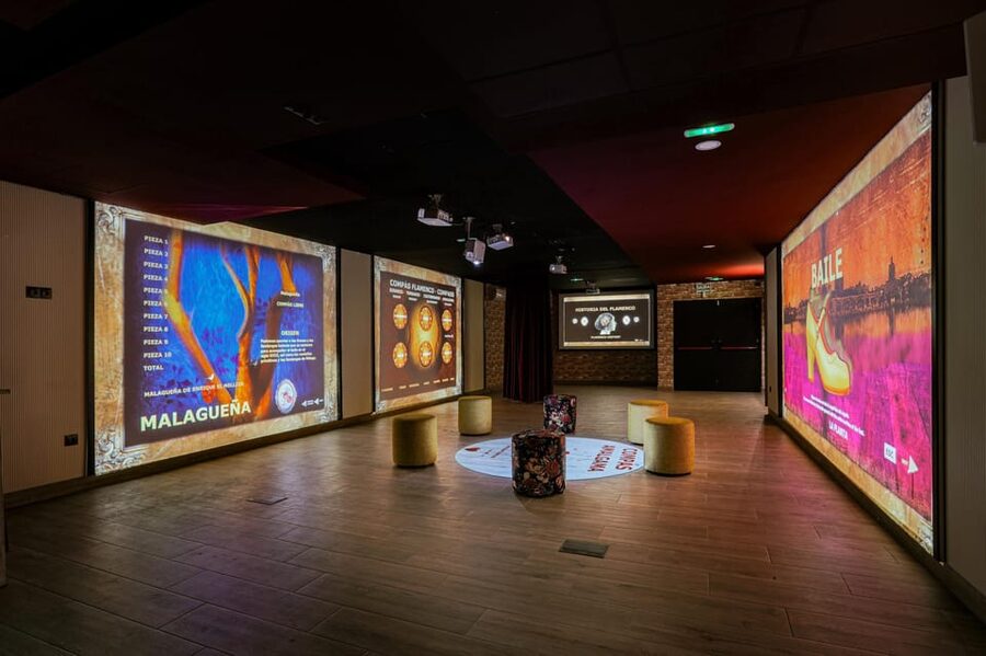 Dive In and Discover: Flamenco in an Interactive Journey - Language, timing, and cancellation details