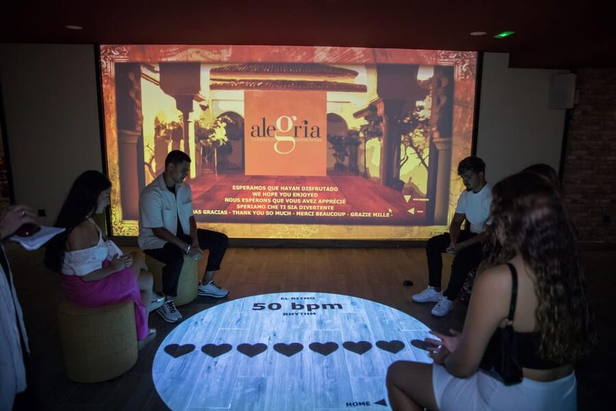 Dive In and Discover: Flamenco in an Interactive Journey - Why this Málaga flamenco experience feels different