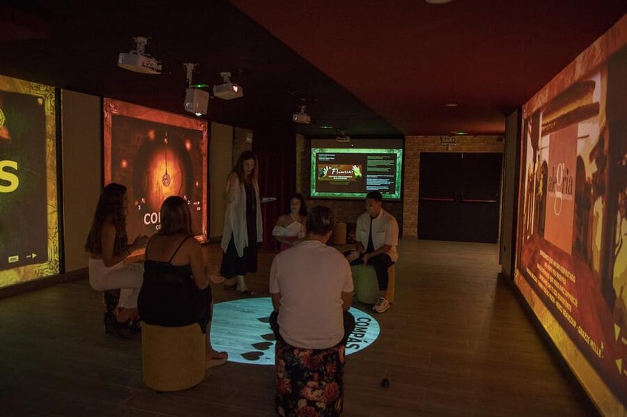 Dive In and Discover: Flamenco in an Interactive Journey - The role of Juan, Catarina, and the live guide