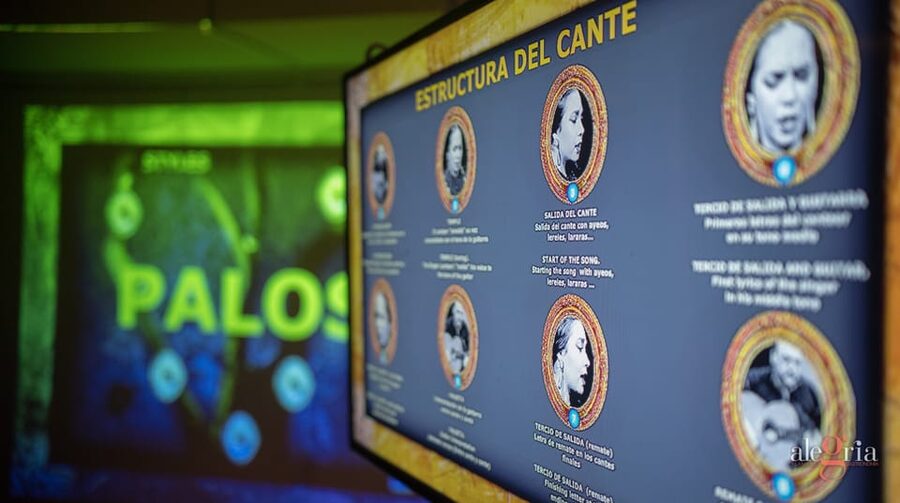 Dive In and Discover: Flamenco in an Interactive Journey - Group size is important