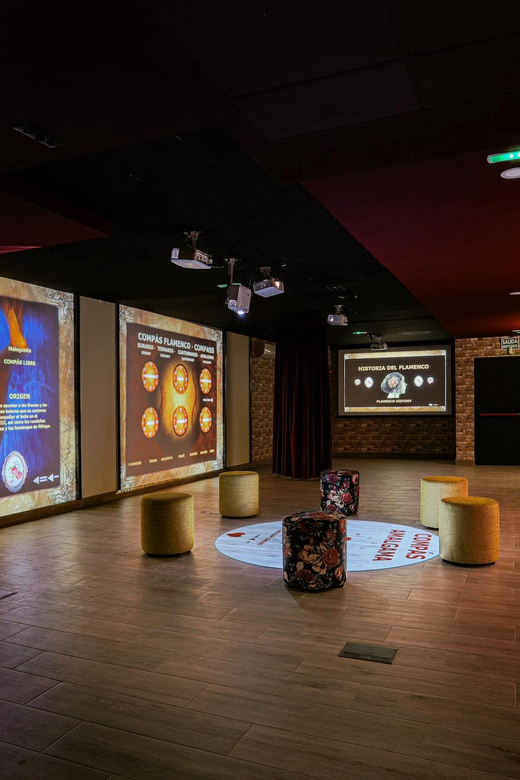 Dive In and Discover: Flamenco in an Interactive Journey - Price and the value of an active introduction