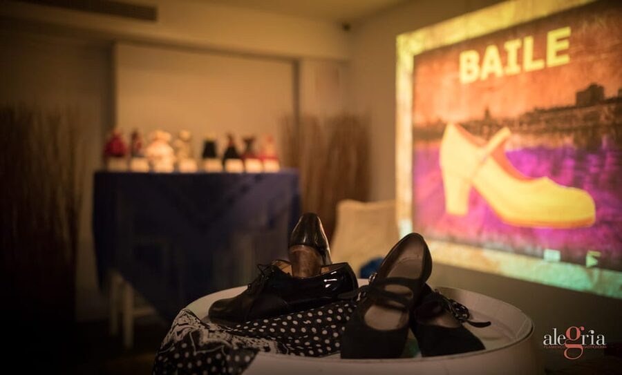 Dive In and Discover: Flamenco in an Interactive Journey - Who should book this experience