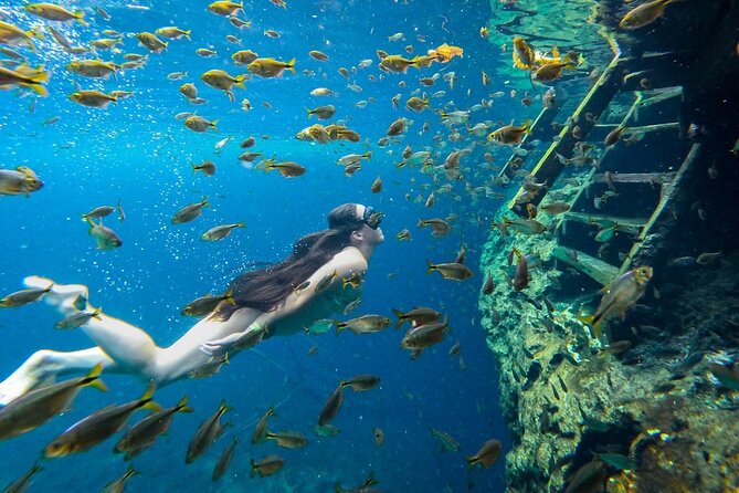 Dive into Tulum: Tour 3 Cenotes, from Riviera Maya - Booking advice for a smoother morning