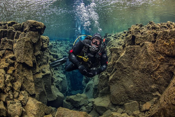Dive the Divide: Silfra Fissure Scuba Tour | Reykjavik Pickup - How much value do you get for $344.67?
