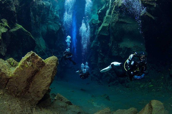 Dive the Divide: Silfra Fissure Scuba Tour | Reykjavik Pickup - Who should book this scuba outing?