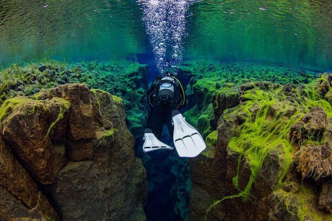 Dive the Divide: Silfra Fissure Scuba Tour | Reykjavik Pickup - From Reykjavik to Þingvellir National Park